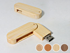 Abbildung: USB Wood SWING